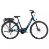 Trek Verve+ 1 Lowstep 500 Wh
